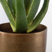 Uttermost Arabia Aloe Planter 60217