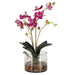Uttermost Glory Fuchsia Orchid 60220