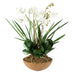 Uttermost Moth Orchid Planter 60039