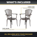 Arden 2-Piece Outdoor Dining Chair Set for Patio