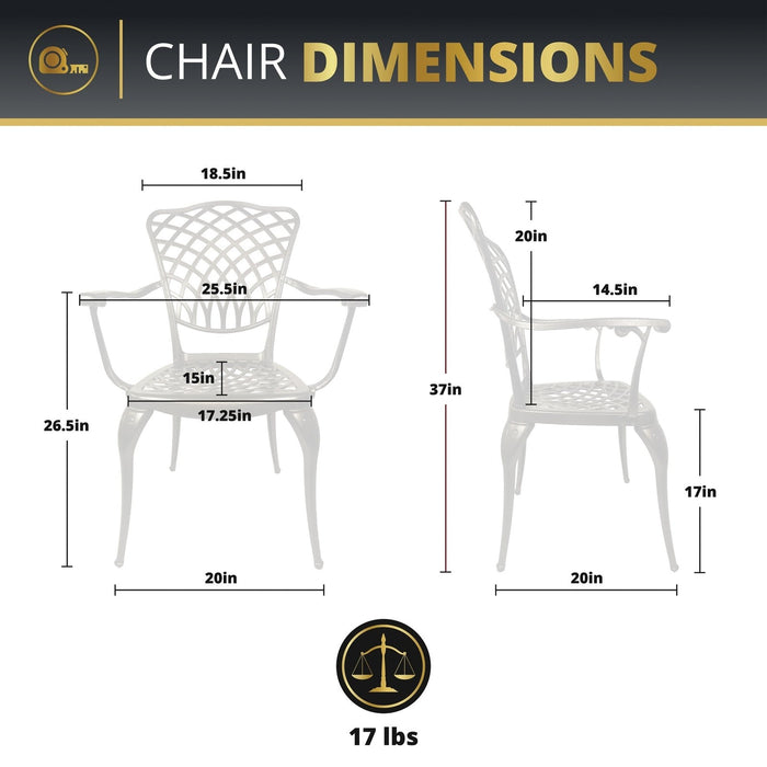 Arden 2-Piece Outdoor Dining Chair Set for Patio