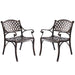 Aiden 2-Piece Outdoor Dining Chair Set for Patio