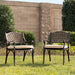 Harmon 2-Piece Outdoor Dining Chair Set for Patio