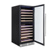 Empava Wine Refrigerator 55" Tall Dual Zone Wine Fridge EMPV-WC06D