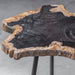 Uttermost Mircea Petrified Wood Accent Table 25461