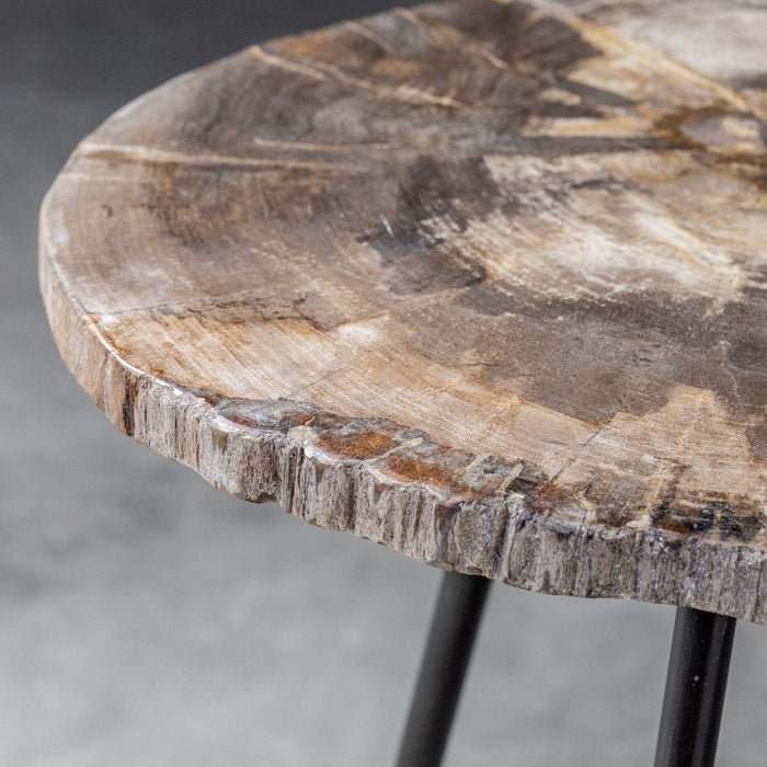Uttermost Mircea Petrified Wood Accent Table 25461