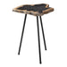 Uttermost Mircea Petrified Wood Accent Table 25461