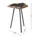 Uttermost Mircea Petrified Wood Accent Table 25461