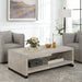 Uttermost Bosk White Washed Coffee Table 25285