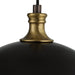 Uttermost Placuna 1 Light Bronze Pendant 22028