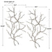 Uttermost Silver Branches Wall Art S/2 04053