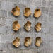 Uttermost Tamarine Wood Wall Art S/3 4107