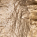 Uttermost Archive Brass Wall Decor 04315