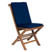 Folding Chair Set with Blue Cushions TF22-2-B
