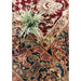 Pasargad Home Crown Jewel Agra Collection Hand-Knotted Lamb's Wool Area Rug-12' 2" X 16' 6" PH-231 12X17