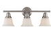 Elk Lighting Berwick Brushed Nickel LED Vanity Light