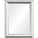 RenWil Hawkwell Rectangle Mirror NDD21M219