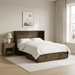 Night and Day Furniture Ranchero Queen Murphy Cabinet Bed Complete