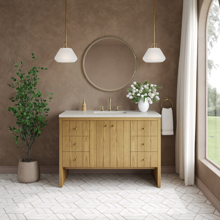 James Martin Vanities Hudson 48" Single Vanity