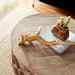 Cyan Design Sirah Coffee Table | Black Forest Grove - Medium 06559