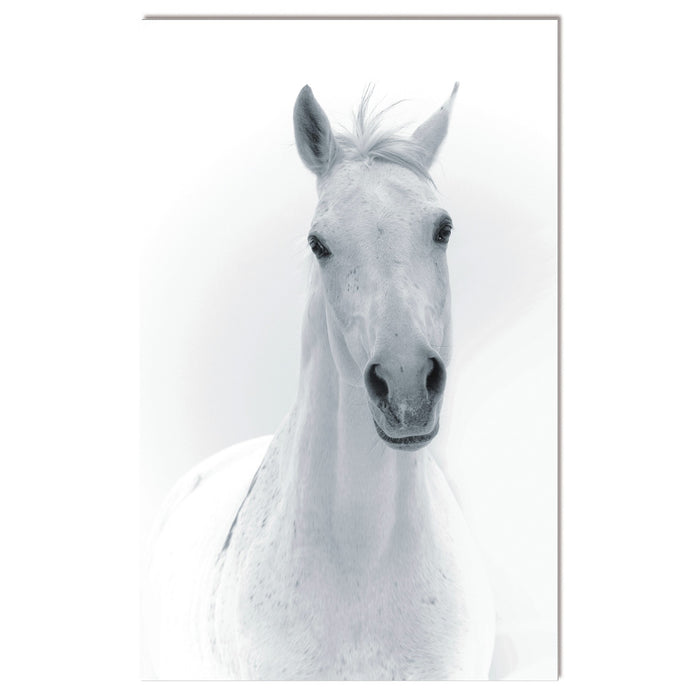 Bellini Modern Living Acrylic portrait of a white horse 60 x 40 187042007-40