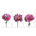 Bellini Modern Living 3 Piece acrylic picture of pink flowers consisting of 2 carnations and 1 daisy with stems 40 x 72 2945999