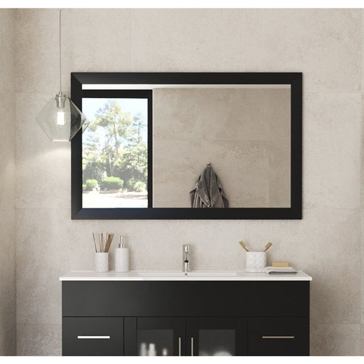 Laviva Sterling 48" Framed Rectangular Espresso Mirror 313FF-4830E