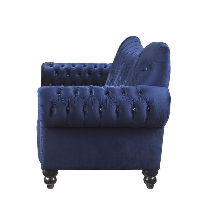 Acme Furniture Iberis Sofa in Navy Velvet 53405