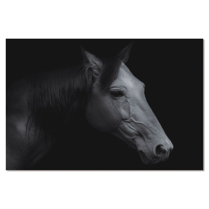 Bellini Modern Living Acrylic headshot portrait of a Russian Black horse 60 x 40 82410550