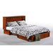 Night and Day Furniture Clover Queen Murphy Cabinet Bed Complete