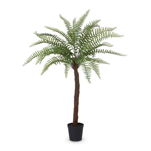 Park Hill Collection Garden Floral Giant Tree Fern in Growers Pot, 83" EBQ26091