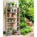 Park Hill Collection Garden Floral Potters Reclaimed Wood Shelf EDC00288