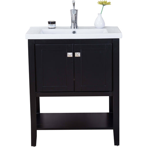 Eviva Tiblisi 24" Modern/Transitional Bathroom Vanity with White Porcelain Sink