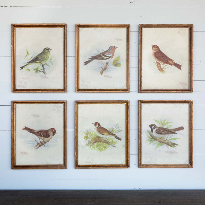 Park Hill Collection Southern Classic Vintage Bird Framed Prints, Set of 6 EWA80978