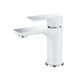 Blossom Single Handle Lavatory Faucet – F01 120