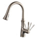 Blossom Single Handle Pull Down Kitchen Faucet – Brush Nickel – F01 204 02