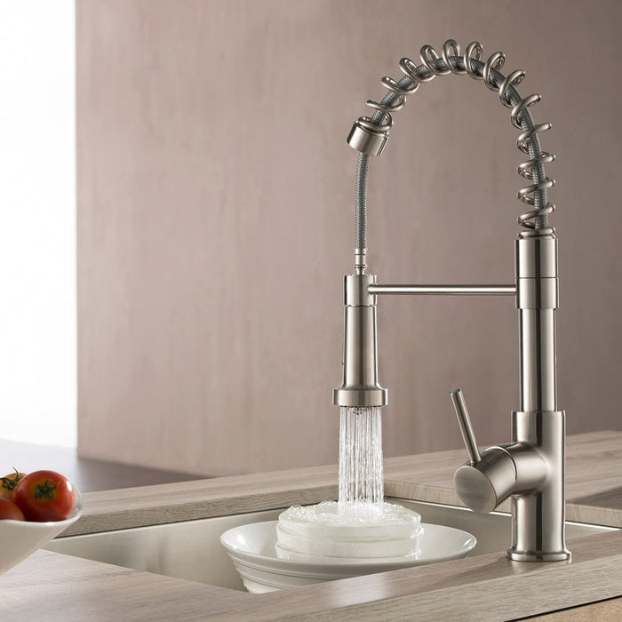Blossom Single Handle Pull Out Kitchen Faucet – F01 205