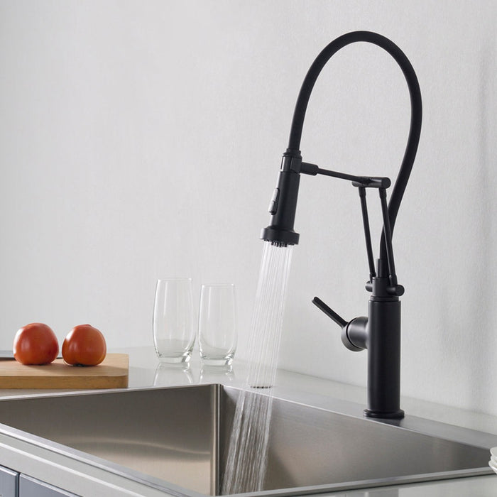 Blossom Single Handle Pull Out Kitchen Faucet – F01 208