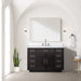 Lexora Home Abbey Black Oak Single Bath Vanity