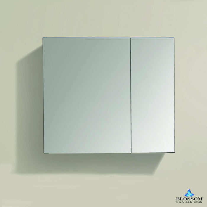 Blossom 25″ Aluminum Medicine Cabinet with Mirror – MC7 2526