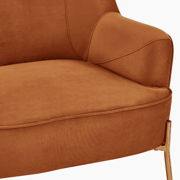 New Pacific Direct Arianna Velvet Fabric Accent Arm Chair 1900183-565