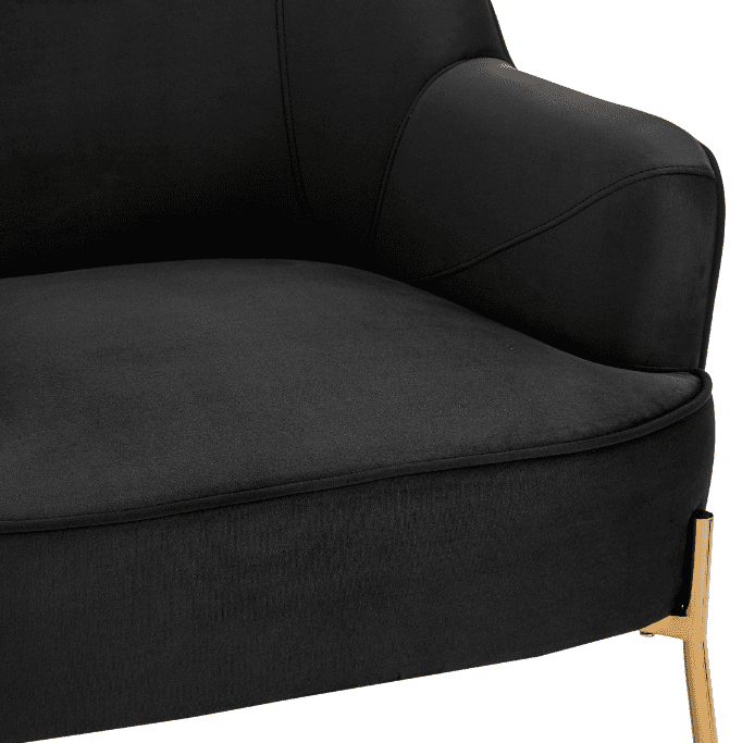 New Pacific Direct Arianna Velvet Fabric Accent Arm Chair 1900183-575