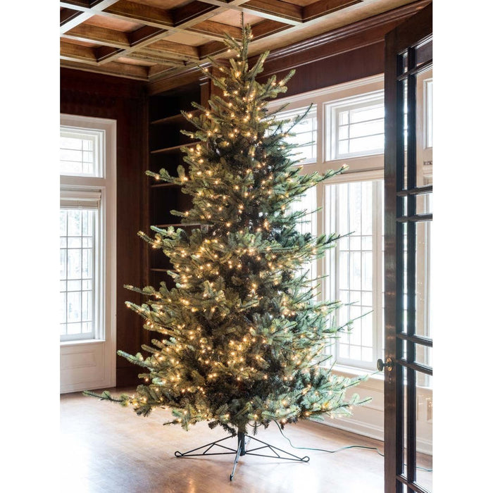 Park Hill Collection Tree Lot 10' Park Hill Blue Spruce LED Lights XPQ82162