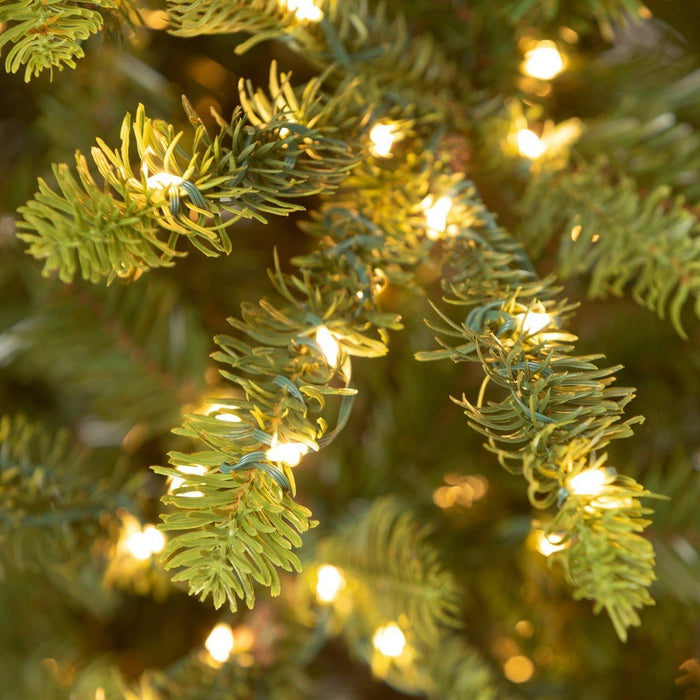 Park Hill Collection Tree Lot 5' Great Northern Spruce Pine Tree with Micro LED Lights XPQ90662