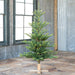 Park Hill Collection Tree Lot 5' Great Northern Spruce Pine Tree with Micro LED Lights XPQ90662