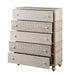 Acme Furniture Roselyne Chest in Antique White Finish BD00699