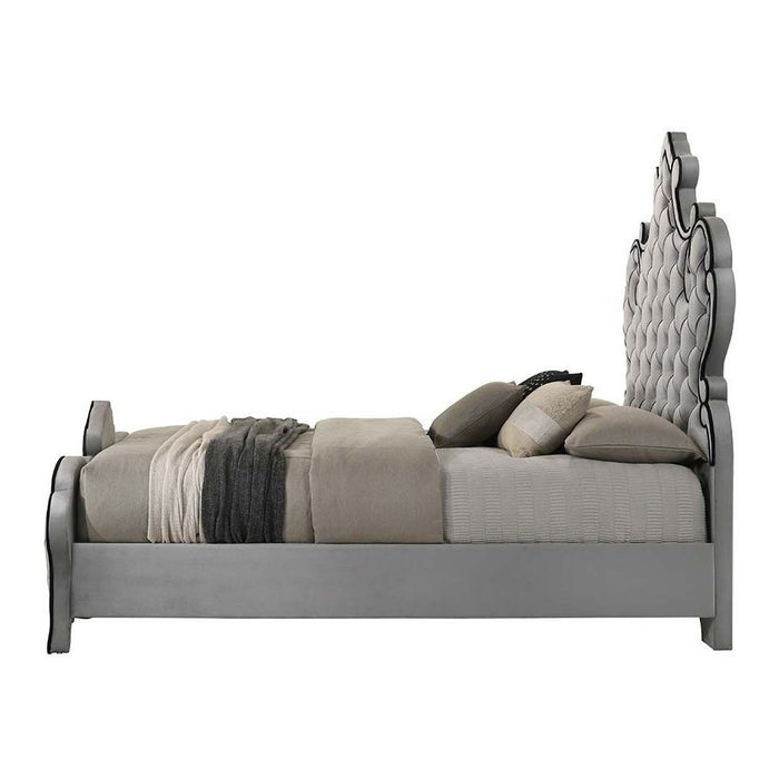 Acme Furniture Perine Queen Bed in Gray Velvet BD01062Q