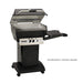 Broilmaster P3XF Premium Gas Grill