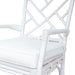 New Pacific Direct Kara Rattan Arm Chair 2400028-W