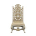 Acme Furniture Danae Side Chair Set-2 in PU, Champagne & Gold Finish DN01198